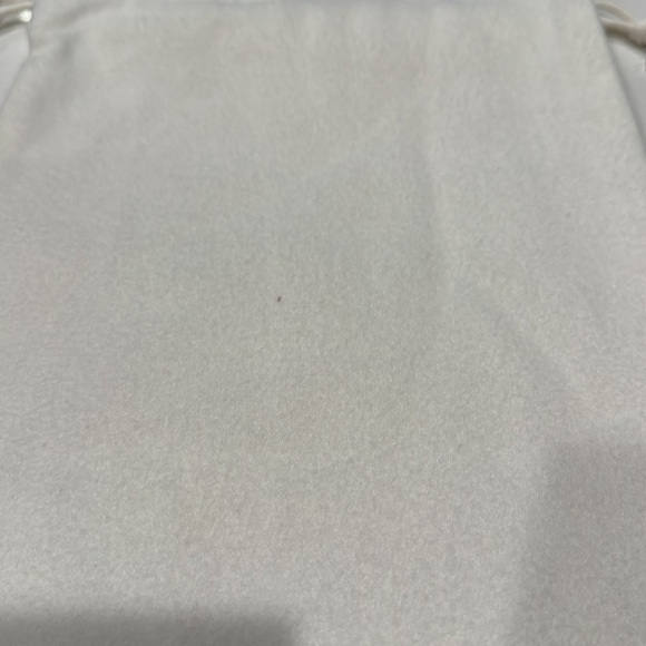 8.25x15.75” Bottega Veneta Felt Dust bag - Picture 3 of 3